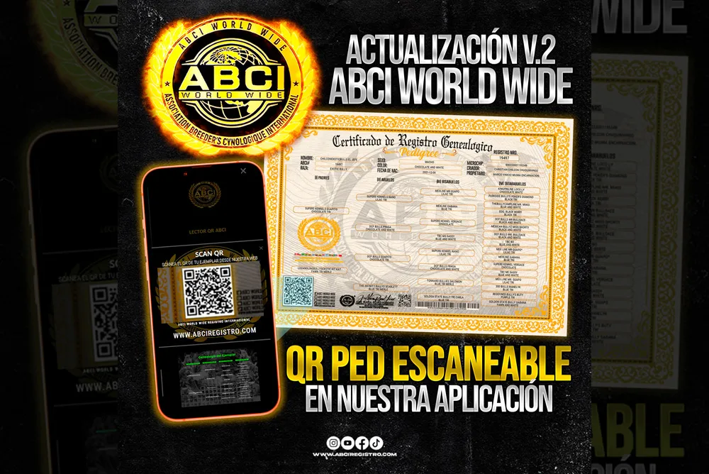 Diseño de Identidad Visual y Branding Corporativo