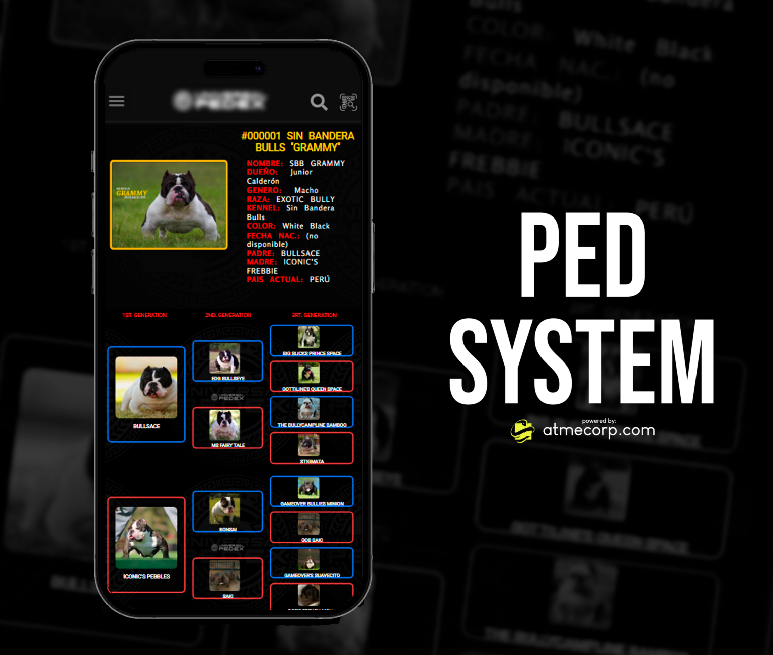 PED SYSTEM
